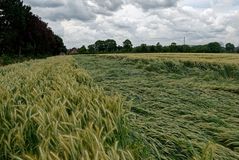 Flach gelegt nach Unwetter im südlichen Münsterland Ende Juni 2023