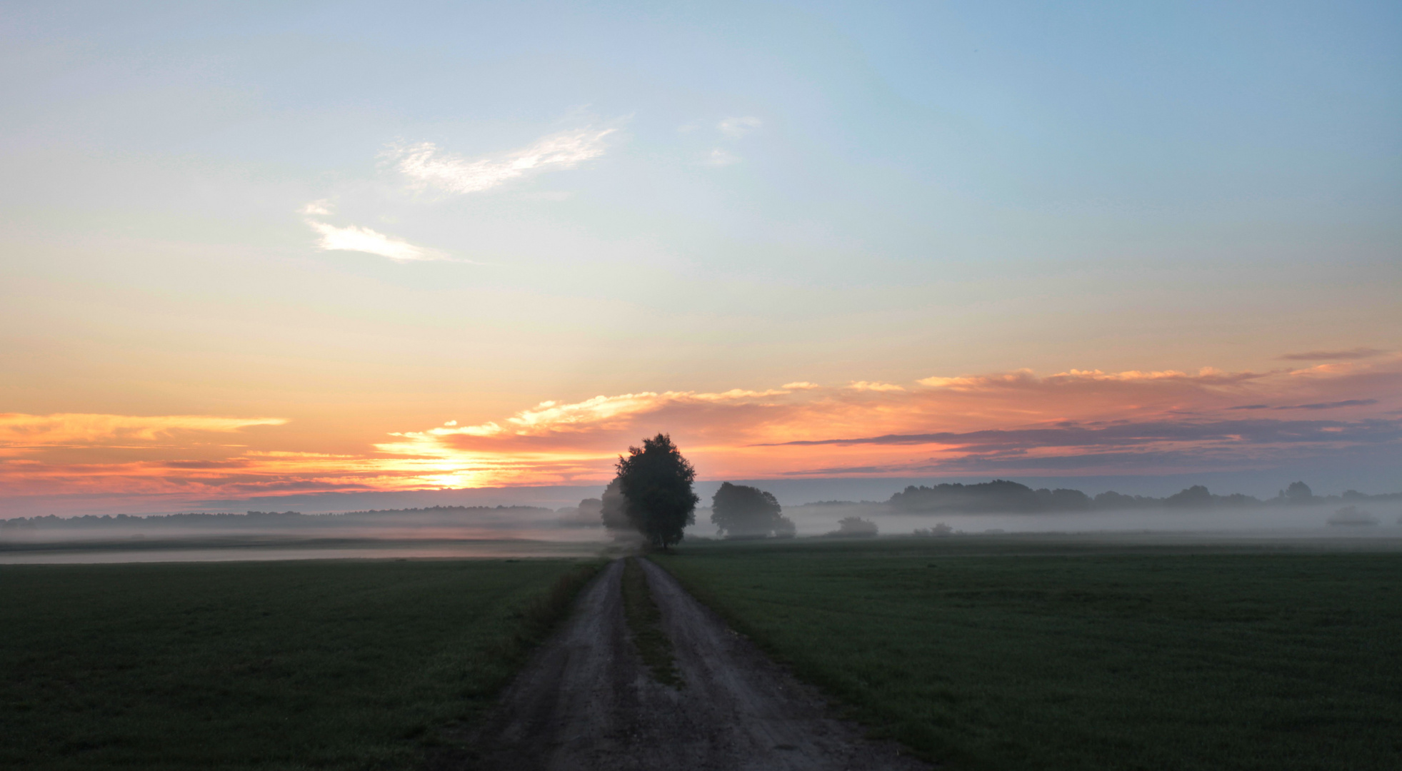 Flach-Nebel