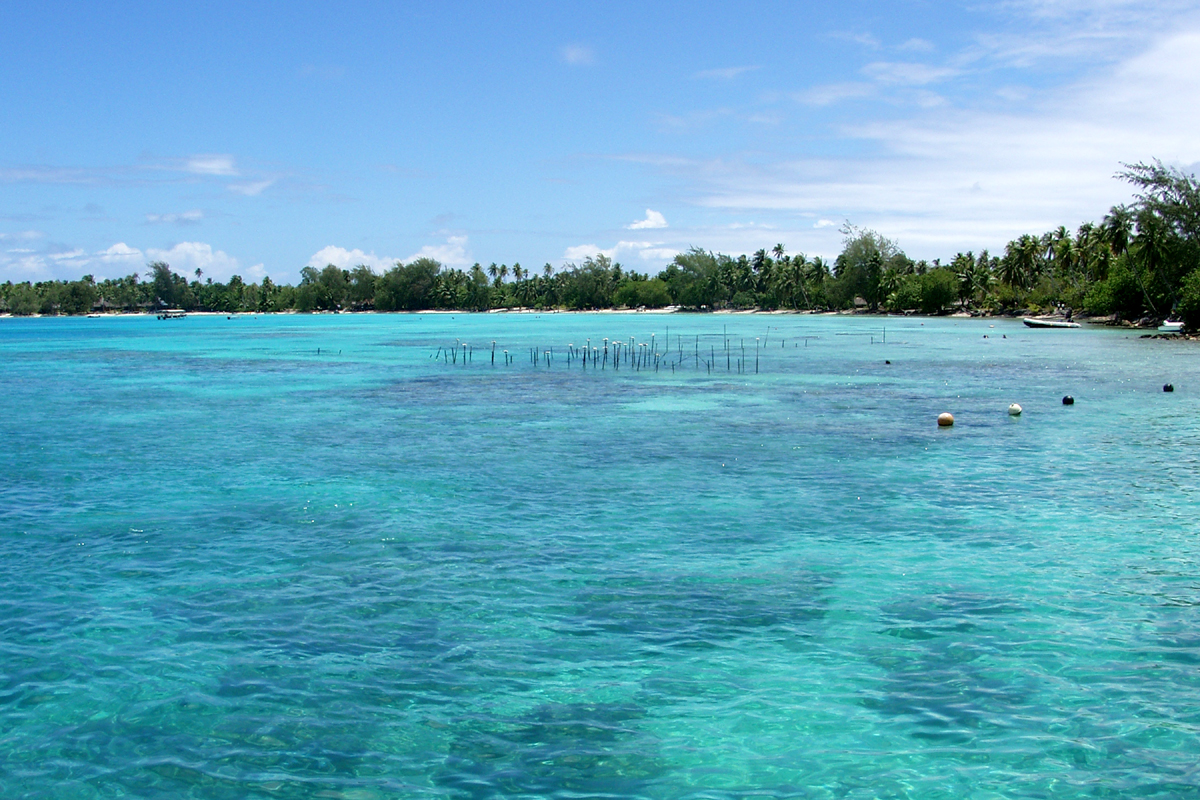 Flache Inselkette Rangiroa / Polynesien