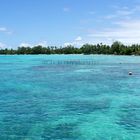 Flache Inselkette Rangiroa / Polynesien