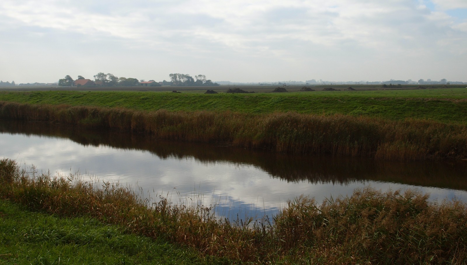 Flaches Land im Herbst