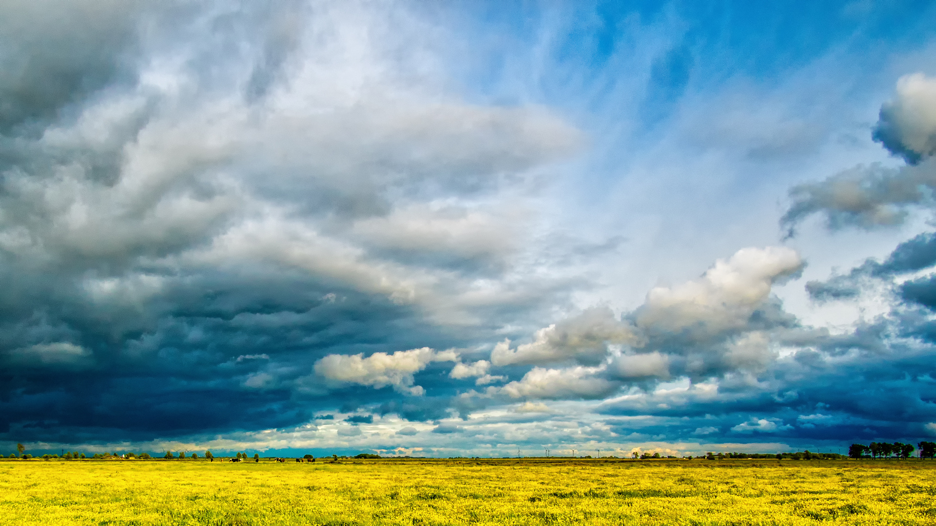 Flaches Land, mächtige Wolken