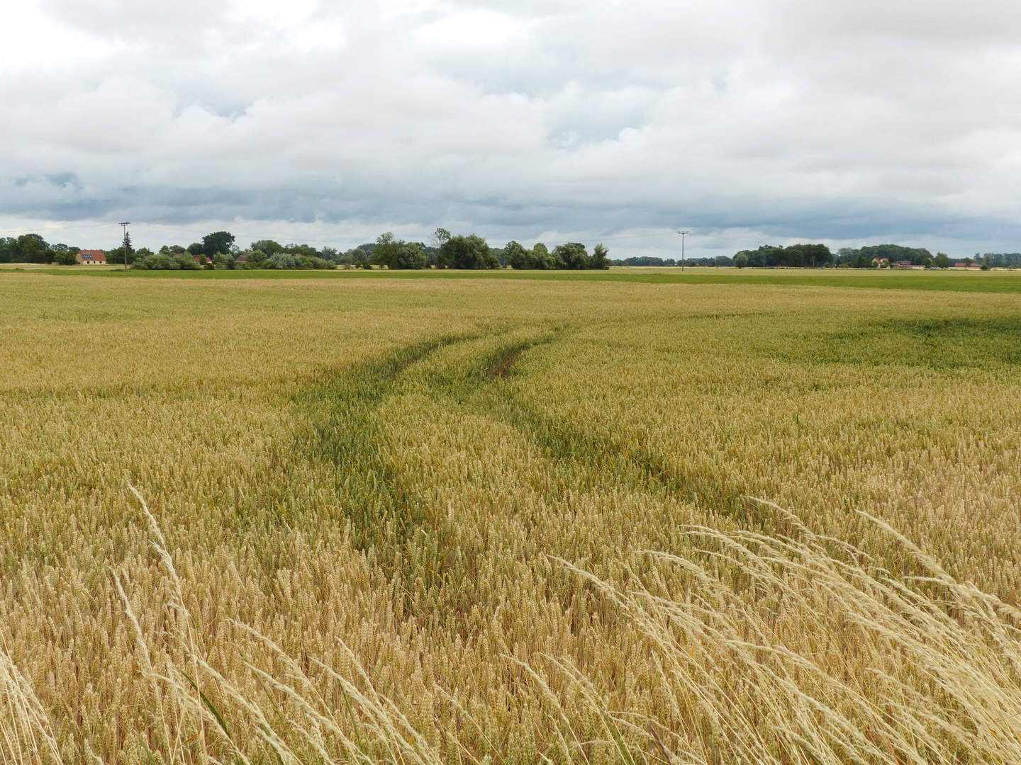 Flaches Land - schönes Land