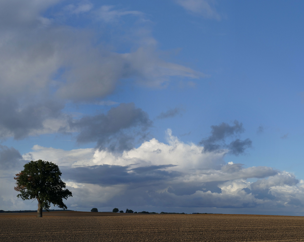 Flaches Land, schönes Land...