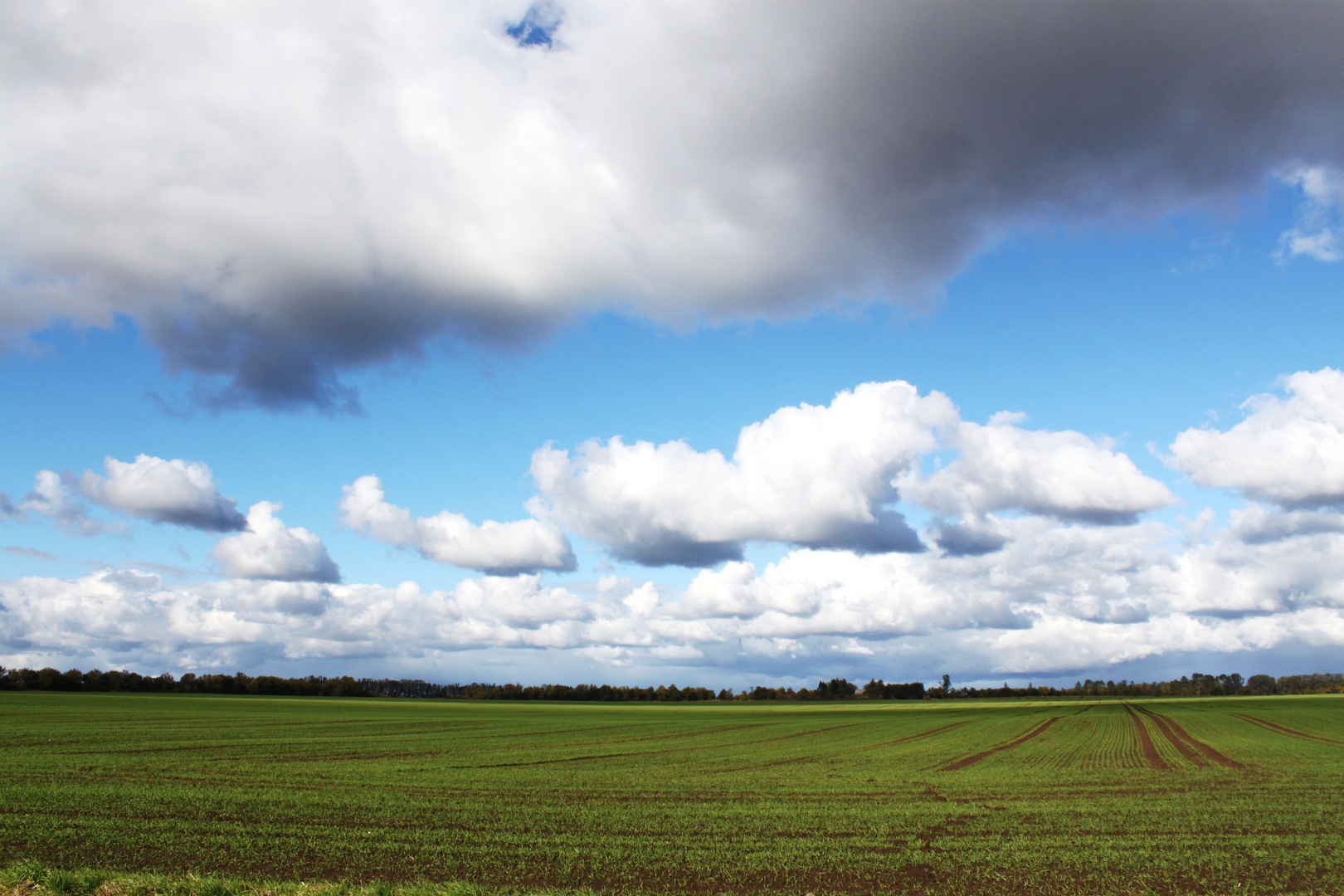 Flachland auf Rügen