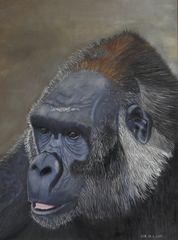 Flachland-Gorilla im Porträt - mit Pastellkreide gemalt