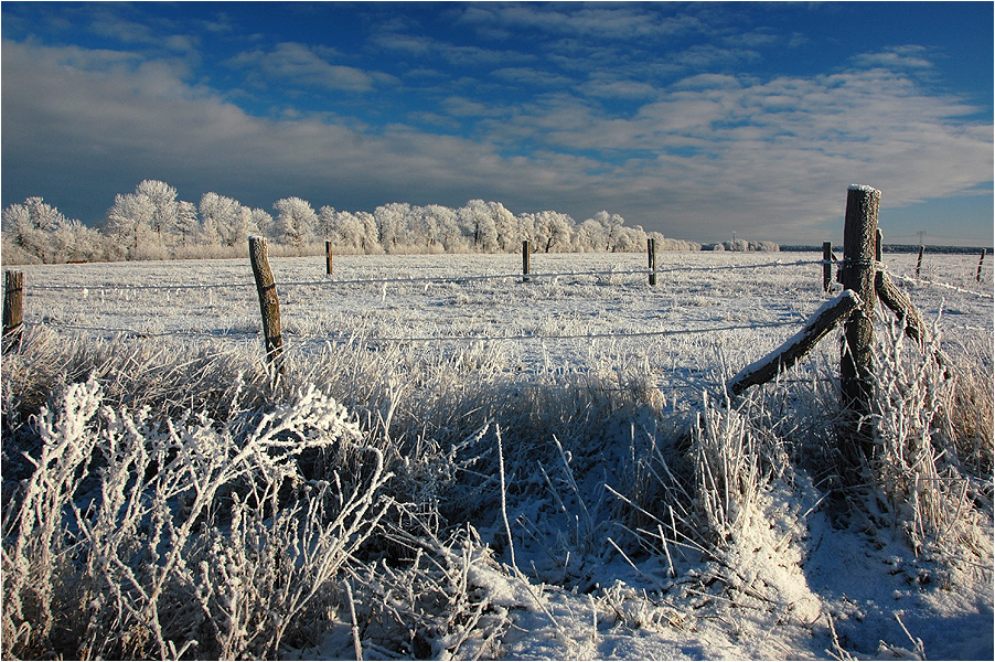 Flachlandwinter...