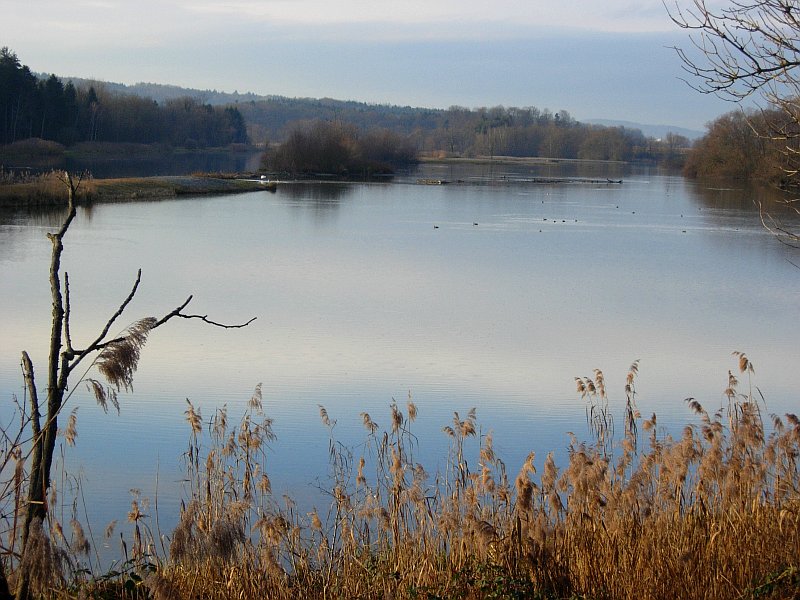 Flachsee