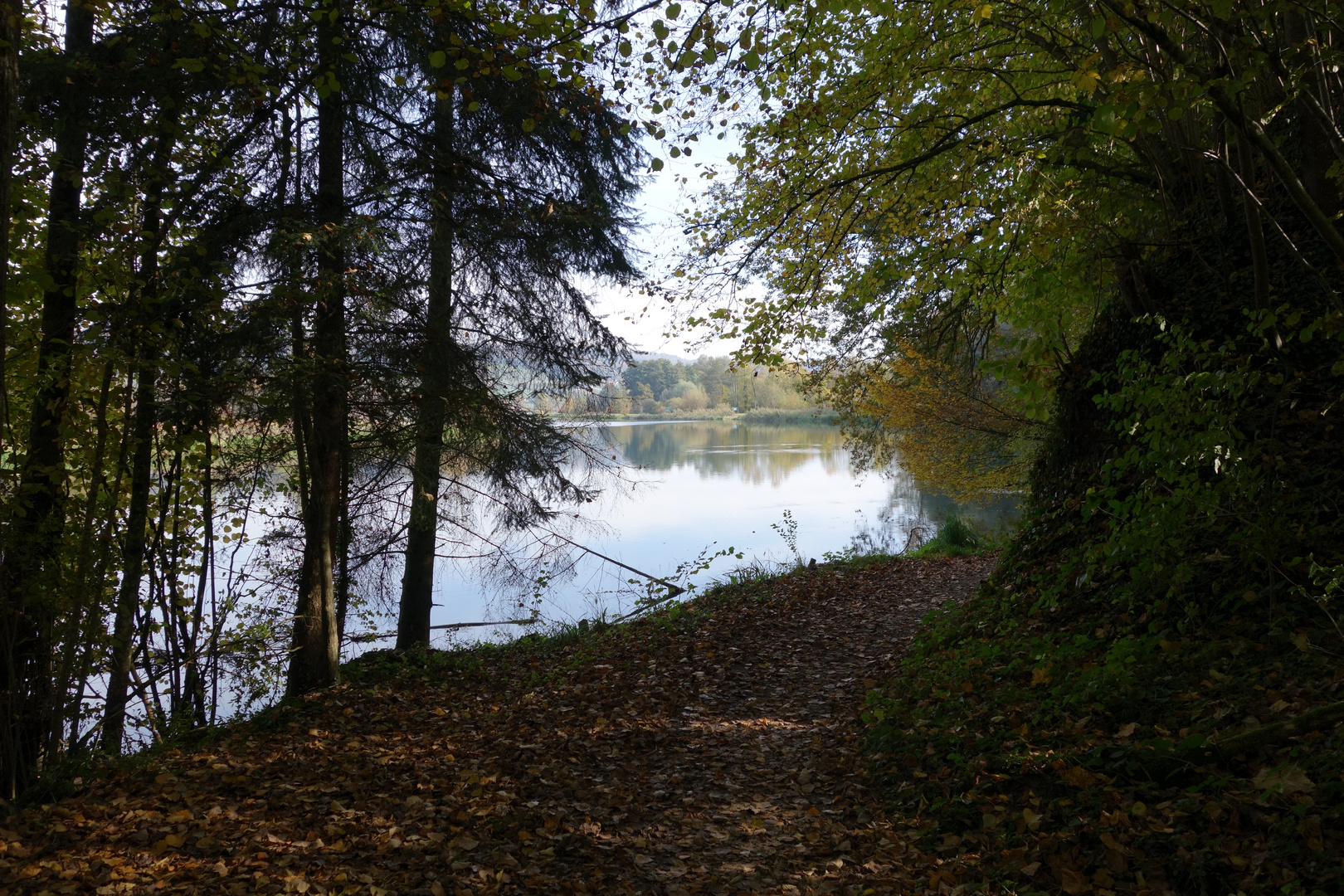 Flachsee bei Bremgarten