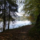 Flachsee bei Bremgarten