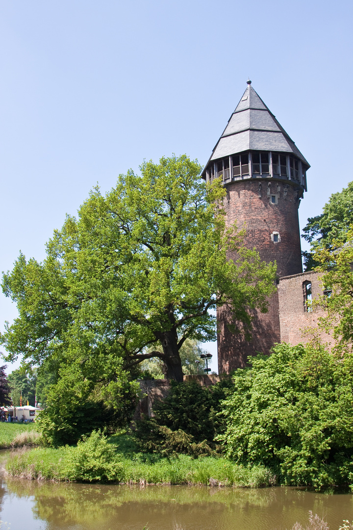 Flachsmarkt Burg Linn 2010