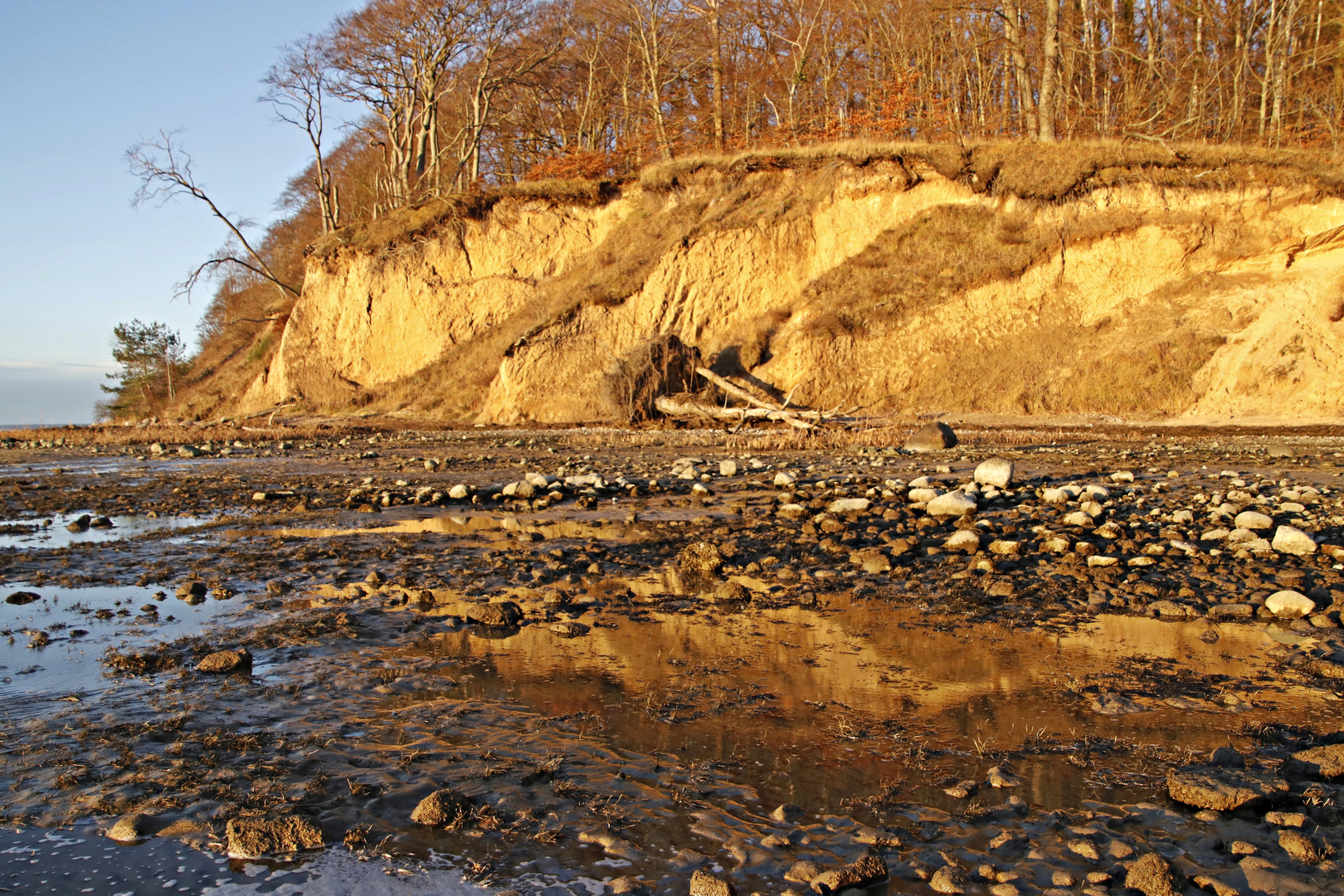 Flachwasser mit Spiegelung