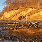 Flachwasser mit Spiegelung