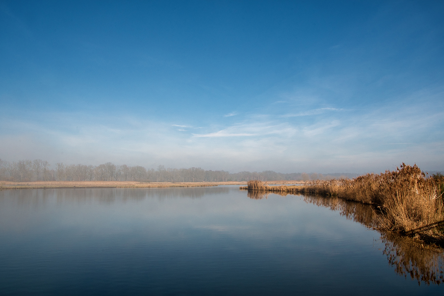 Flachwasserzone Mannhausen