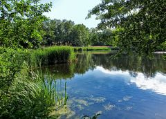 Flachweiher