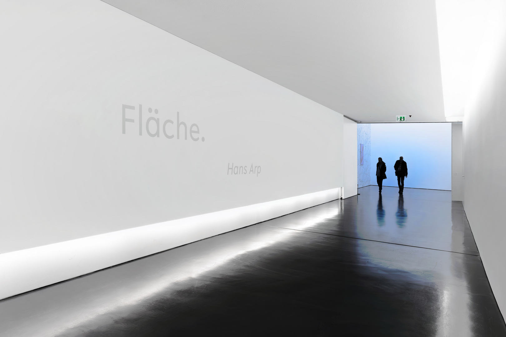 Fläche