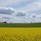 Flächen, Linien, Farben