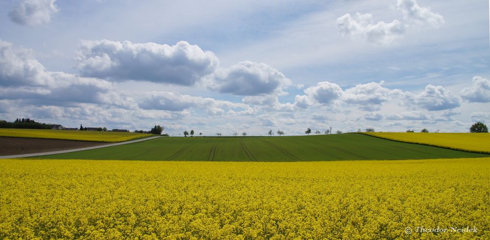 Flächen, Linien, Farben