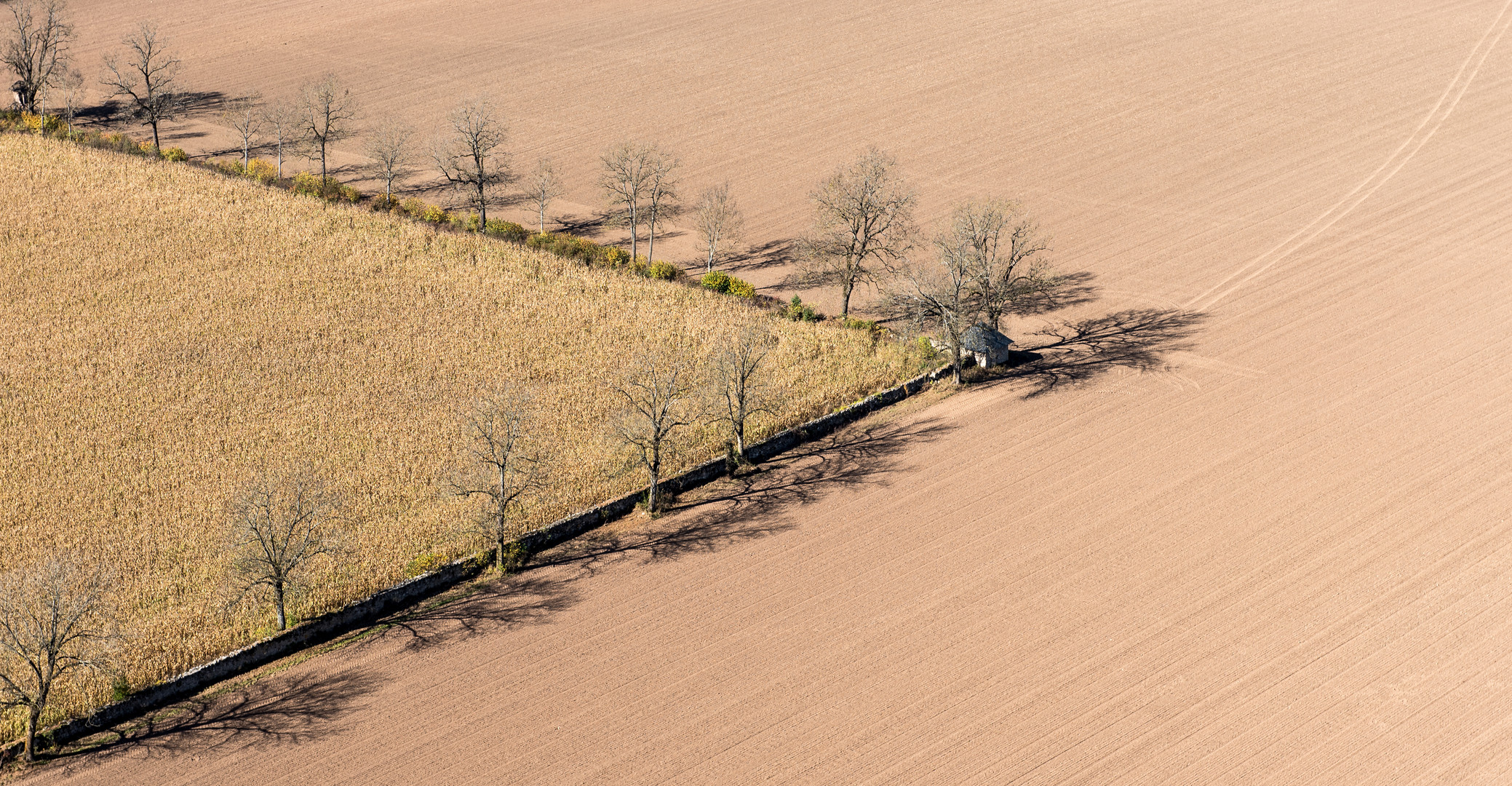 Flächen, Linien und Punkte