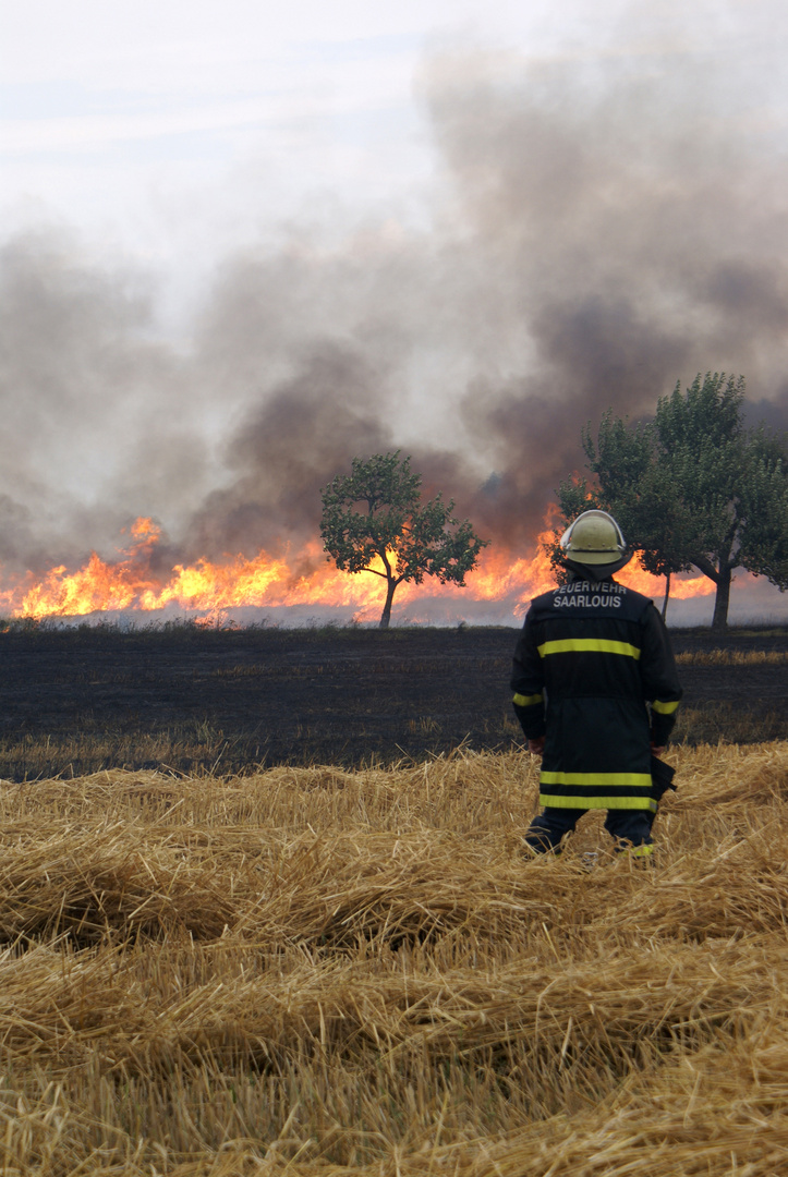 Flächenbrand 2