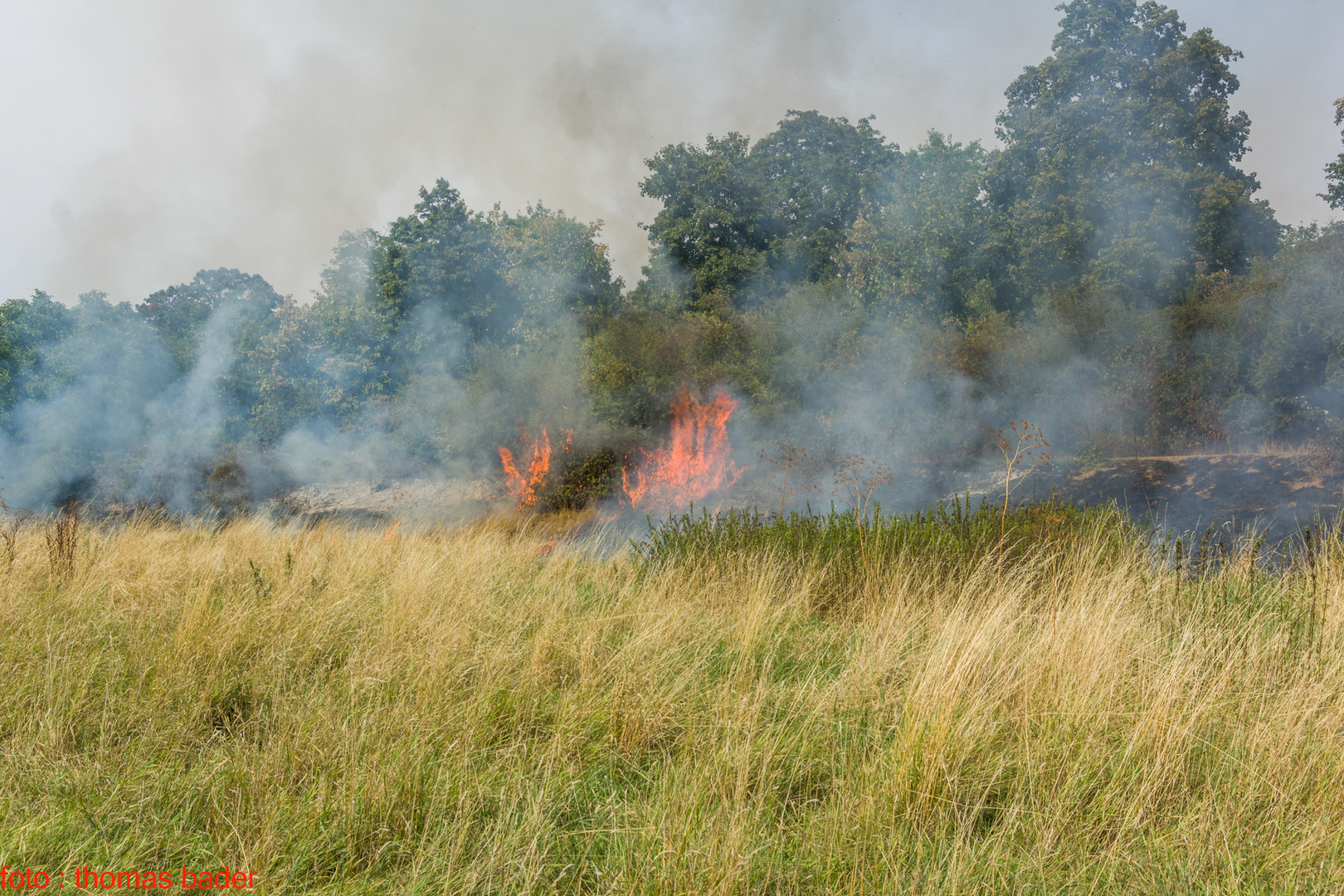 Flächenbrand ...