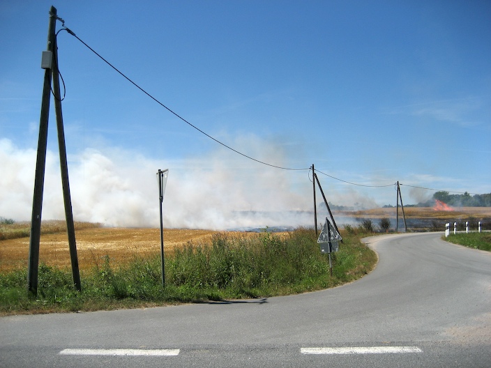 Flächenbrand I