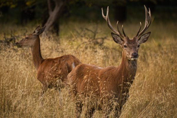 Flächendeckend überwacht