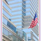 Flag and Reflections