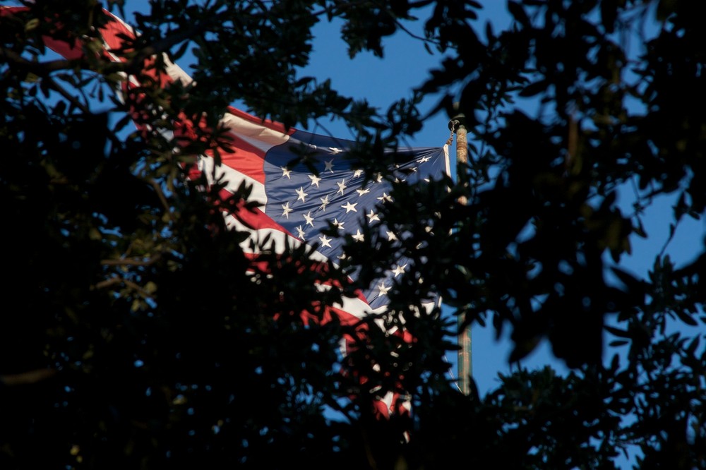 Flag behind the tree