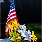 Flag, Flowers, Freight Train