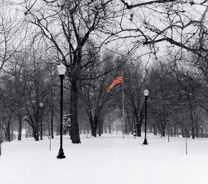 flag in snow