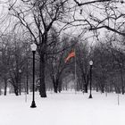 flag in snow