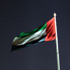 Flag of the UAE