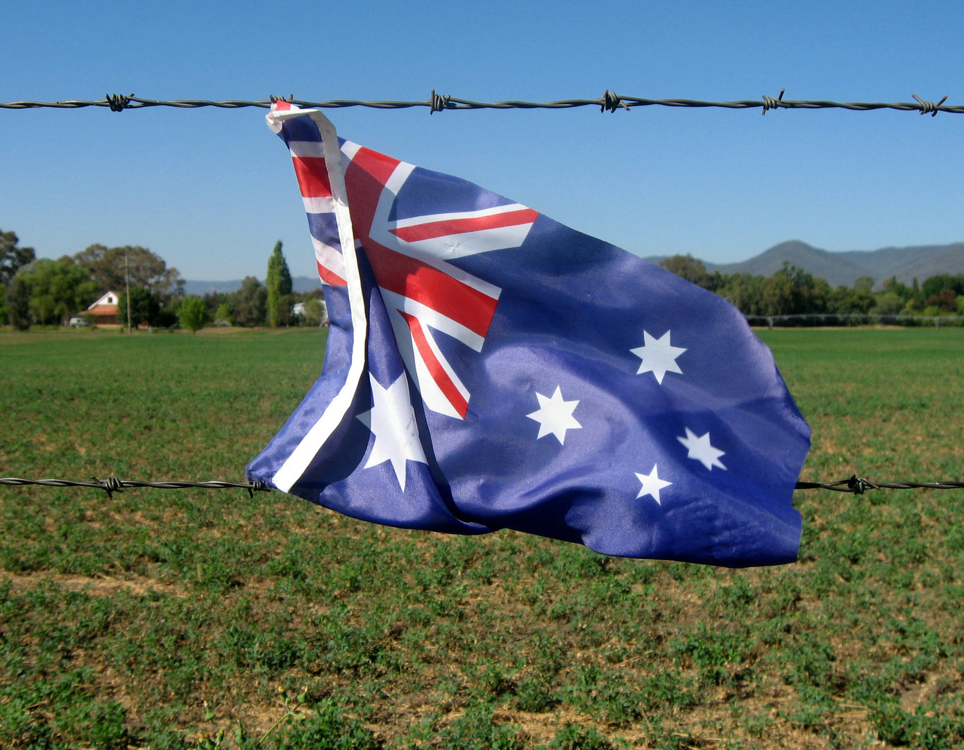 Flag on a wire