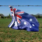 Flag on a wire