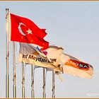 Flagge der Türkei