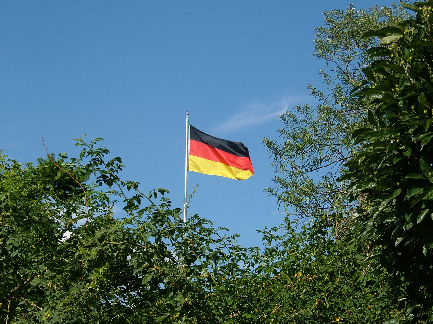 Flagge im Grünen