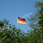 Flagge im Grünen