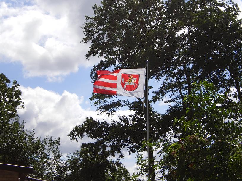 Flagge im Wind