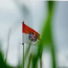 Flagge im Wind