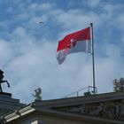 Flagge zeigen