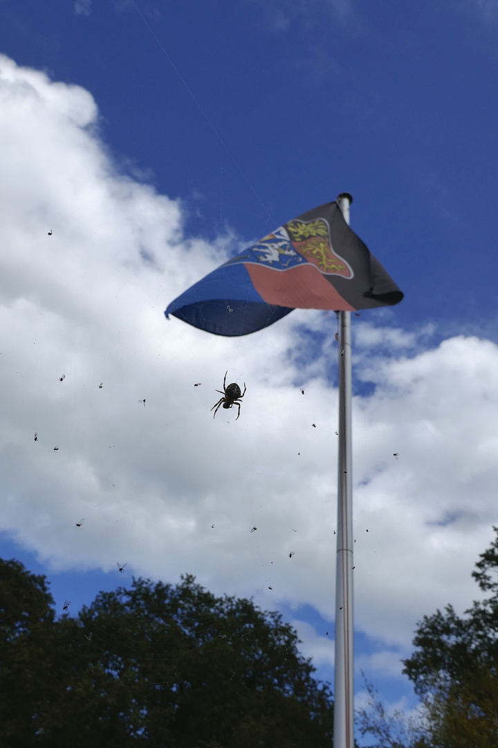 Flagge zeigen…