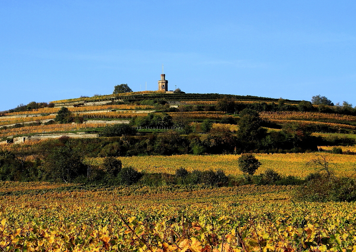 Flaggenturm im Herbst