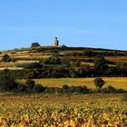 Flaggenturm im Herbst