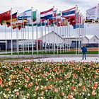 Flaggenwald auf der FLORIADE 2012