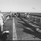 flagler beach pier