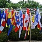 Flags washday