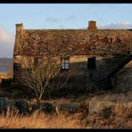 Flagstones