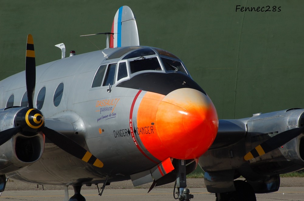 Flamant à Orange le 18052008