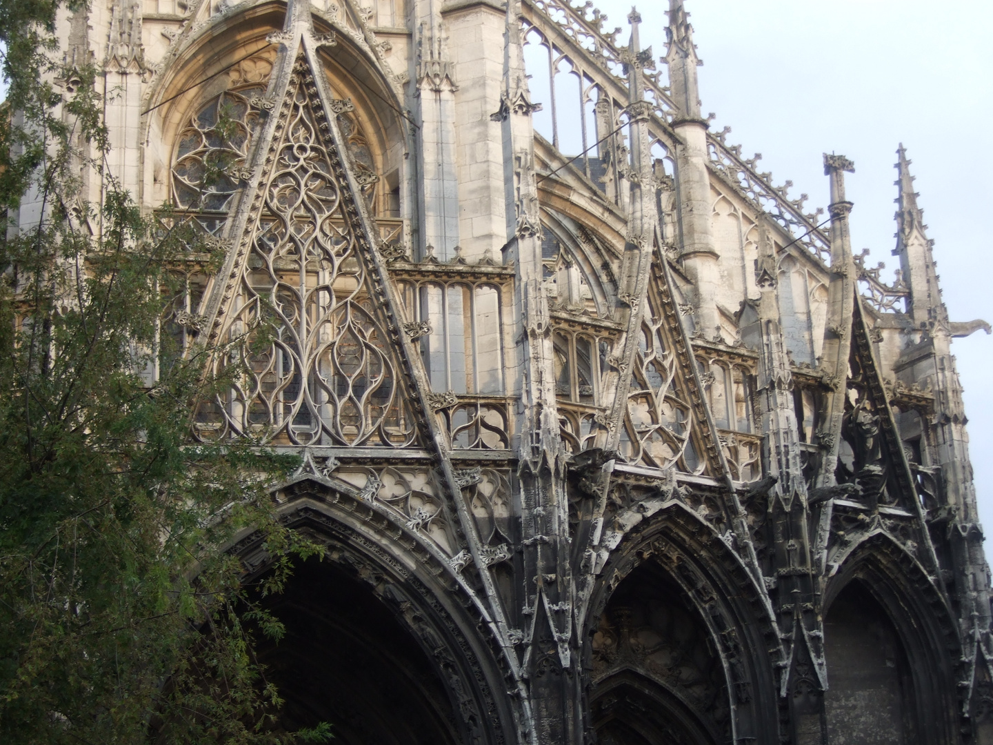 Flamboyant in Rouen im September 2008